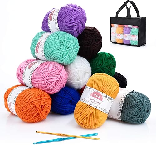 SOLEDI Pelotes de Laine en Acrylique, Kit de Fil Acrylique Hyper Doux pour Tissage à La Main Avec 2 Crochets et Sac de Rangement Réutilisable (50 g * 12 Couleurs) - Nail Gallerys