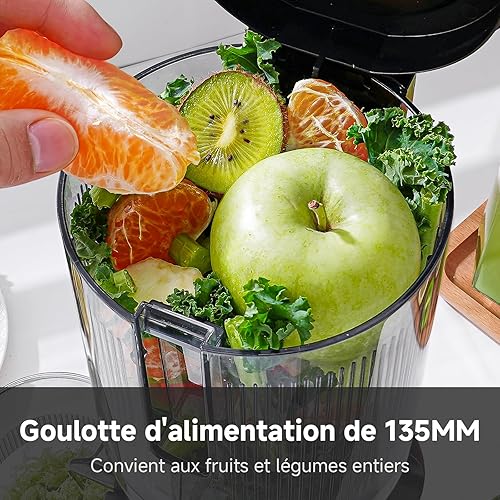 AMZCHEF 120MM Machine a Jus de Fruit Extracteur Entiers - Jus de Fruits et Légumes à Mastication Lente Slow Juicer - Sans Préparation Extracteur de Jus Vertical - Argent - Nail Gallerys