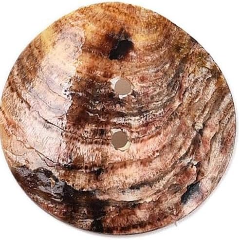 Lot de 10 boutons en nacre de qualité supérieure - Boutons en coquillage Akoya - 30 mm (3 cm) - Couleur crème tomate - Boutons ronds à deux trous de 1,8 mm par trou - Boutons à 2 trous - Boutons en - Nail Gallerys