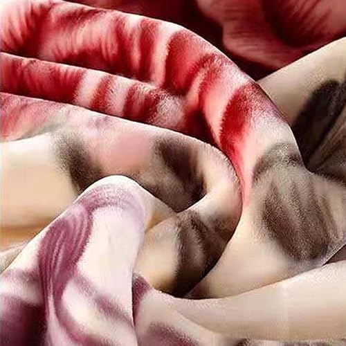 Zoomlie Raschel Couverture d'hiver en peluche épaisse double couche chaude et moelleuse pour lit double, canapé, fauteuil, couvre-lit (Style 1 150 x 200 cm 2 000 g) - Nail Gallerys
