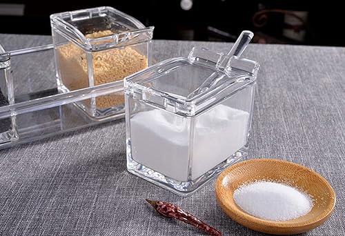 LOYUYU BoîTe D'assaisonnement, Pot D'assaisonnement Rack, Récipient De Stockage Pot D'assaisonnement, Set De 4 Creusets Acryliques Transparents avec Couvercle Et Cuillère Transparent - Nail Gallerys