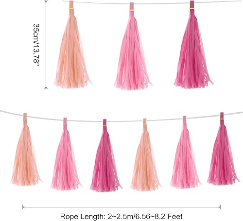 QUARKZMAN 15Pcs Guirlandes de Pompons Pêche Rose, Rose, Rouge avec Corde Tassel Banner avec des Kits de Fête en Papier de Soie pour Anniversaire Mariage Fête d'anniversaire - Nail Gallerys