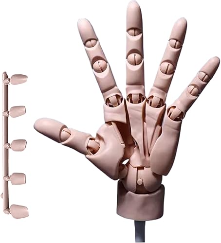 MOUNTTU Main de Mannequin Modèle de Main pour Le Dessin Modèle 1:1 Mannequin articulée articulée Mobile avec Base en PVC DIY pour Le Dessin, la Peinture, l'es - Nail Gallerys