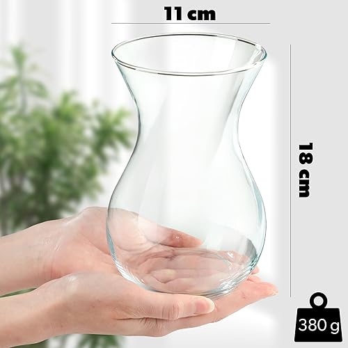 KADAX Lot de 2 vases à fleurs en verre transparent de 18 cm, diamètre : 8 cm, avec col de 11 cm, vase de table transparent, vase décoratif pour salon (18 cm/2 pièces) - Nail Gallerys