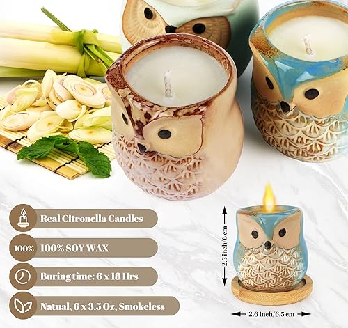 Kinforse Bougies Parfumées en Forme de Chouette - Lot Cadeau Femme de 6 Pièces - Idée Cadeau Anniversaire Originale - Parfums Naturels & Longue Durée 180h (bougie parfumée mixte) - Nail Gallerys