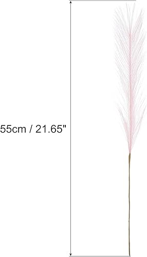 QUARKZMAN 30 Pièces de Fausse Herbe de Pampa, Décoration Fluffy de 21'/55cm en Herbe de Pampa Artificielle pour Salon, Fête, Mur, Vase, Mariage, Rose - Nail Gallerys