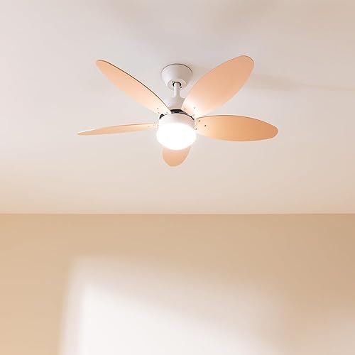 Cecotec - Ventilateur de Plafond avec Lumière EnergySilence Aero 4260 Full Purple - 40 W, Diamètre 106 cm, Lampe Intégrée, Télécommande, Minuterie 8 Heures, 6 Vitesses, 5 Pales, Été/Hiver - Nail Gallerys