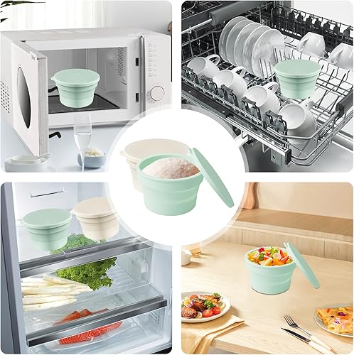 Sporgo Lot de 4 boîtes à pizza pliables avec couvercle - En silicone anti-adhésif - Peu encombrante - Passe au lave-vaisselle - Accessoires à pizza - Nail Gallerys