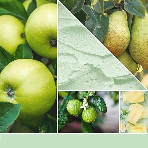 Yankee Candle bougie parfumée Sorbet à la pomme verte | Format jarre | Bougie longue durée jusqu’à 150 heures de combustion |Cadeaux parfaits pour les femmes - Nail Gallerys