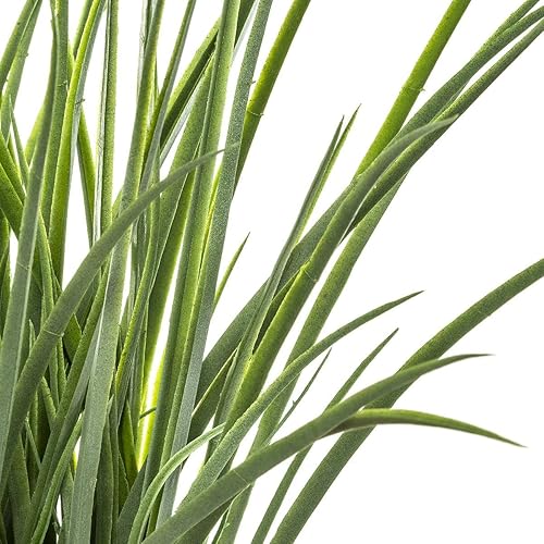 Atmosphera - Herbe Artificielle Pot tressé - H48-5 cm - Nail Gallerys