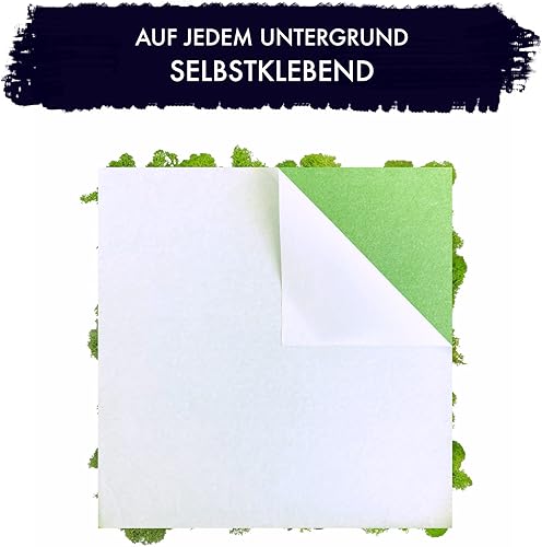 GJS Image en mousse – Plaque de mousse (30 x 30 cm) en véritable mousse d'Islande pour mur de mousse/image de plantes, panneaux décoratifs - Nail Gallerys