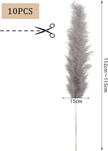 GoMaihe Grande Herbe De La Pampa 10 Pcs , 112cm Fleurs Pampas Sechees, Fleurs Sechees Naturelles Bouquet pour Grand Vase, Boho Decoration Maiso Chambre Salon, Mariage Table Photographier Décor - Nail Gallerys