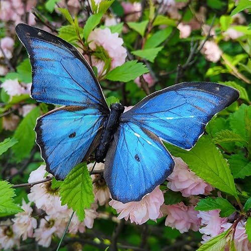 YCHTEWY - Morpho Lot de 12 papillons en plumes sur pics - Fournitures florales pour Halloween et Thanksgiving - Nail Gallerys