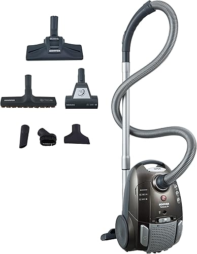 Hoover TE70_TE69 Aspirateur Traineau Sac, Puissant, Silencieux 69dB, Grande Capacité 3,5L, Rayon d'action 9m, Filtre EPA lavable, Brosse Parquet + MiniTurbo, moquette / Ions d'argent - Nail Gallerys
