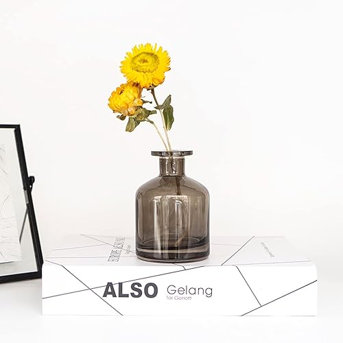 Bamboopack Flacon diffuseur vide en verre de 150 ml pour aromathérapie, accessoire de parfum, utilisation pour diffuseur de parfum (gris) - Nail Gallerys