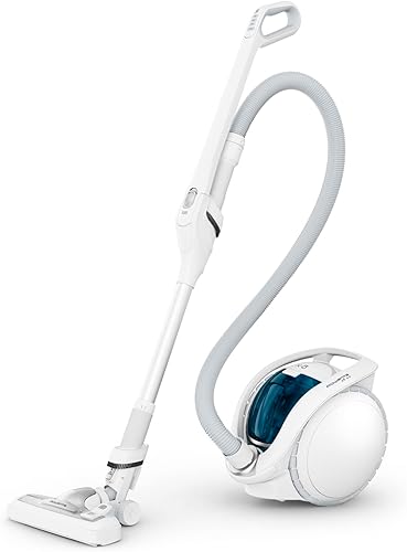 Rowenta Batterie Lithium additionnelle pour Doubler Le Temps d'utilisation de Votre aspirateur sans Fil X-Ô, Accessoire Officiel ZR010770 - Nail Gallerys