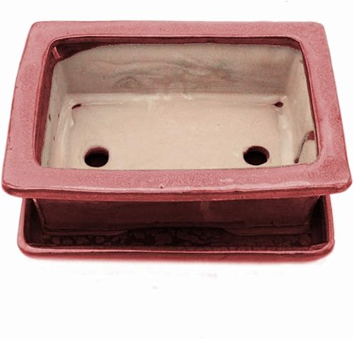 Bol à bonsaï avec soucoupe Gr. 3 - Rectangulaire G29 - Rouge - L 18 cm - l 13 cm - H 6 cm - Nail Gallerys