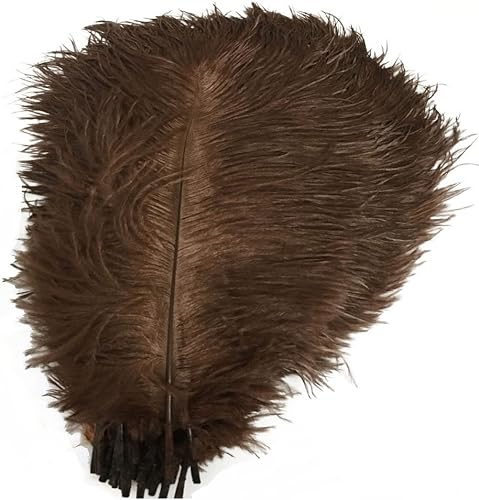 ADAMAI Lot de 10 plumes d'autruche naturelles de 24,9 à 30 cm pour centre de table de mariage, décoration de la maison (bleu sarcelle) - Nail Gallerys