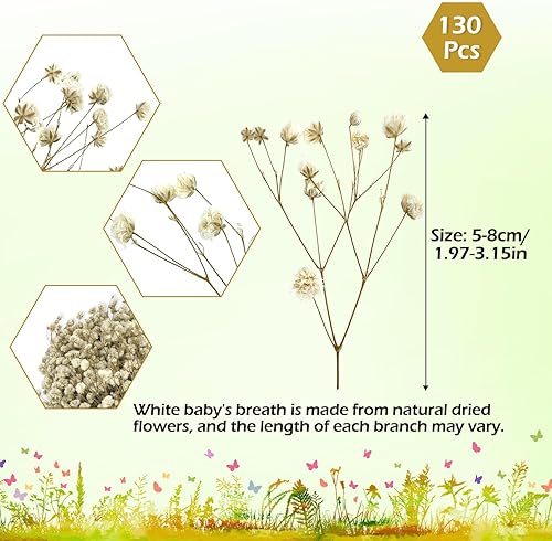 130 pcs Fleurs de gypsophile séchées, Fleurs de gypsophile Blanches séchées pour Bricolage, Loisirs créatifs, Scrapbooking, Fabrication de Bijoux, décorations Florales - Nail Gallerys