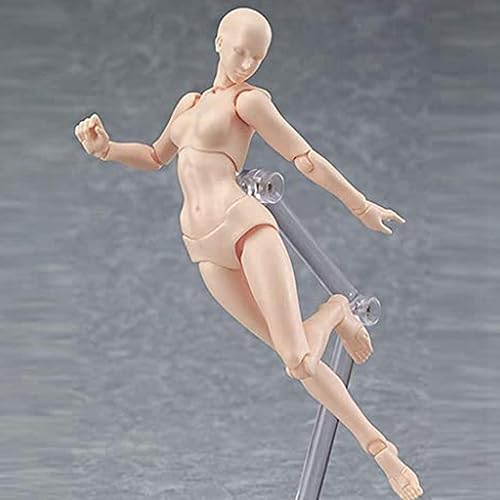 Goorvoucs 2X Body Doll, Artistes Mannequin Blockhead Mannequin Articulé Dessin Figures Ensemble Homme + Femme (Couleur de la Peau) - Nail Gallerys