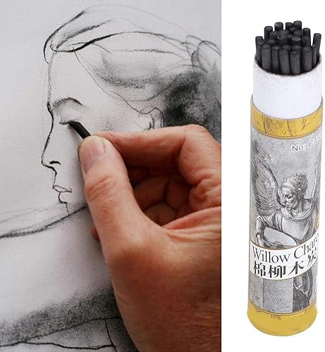 25pcs bâtons de charbon de bois, artiste saule vigne croquis bâtons de charbon de bois croquis crayons de charbon de bois pour le dessin(7330) - Nail Gallerys