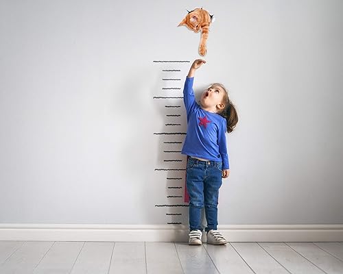 Winston & Bear Autocollants Chat Muraux 3D - Paquet de 2 - Autocollants Décoratifs Drole – Stickers Atteignant Gingembre Chat Pour Mur - Frigo - Toilette - Salle - Voiture - Réfrigérateur - Nail Gallerys