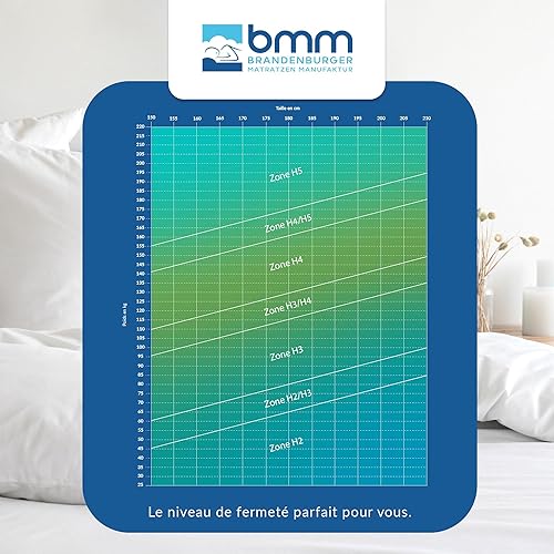 BMM Matelas Comfort 23 de Taille 90x200 cm, degré de fermeté H3 / Matelas à Ressorts ensachés certifié Öko-Tex/Matelas Ergonomique à 7 Zones, Hauteur 23 cm/Matelas fabriqué en Allemagne. - Nail Gallerys