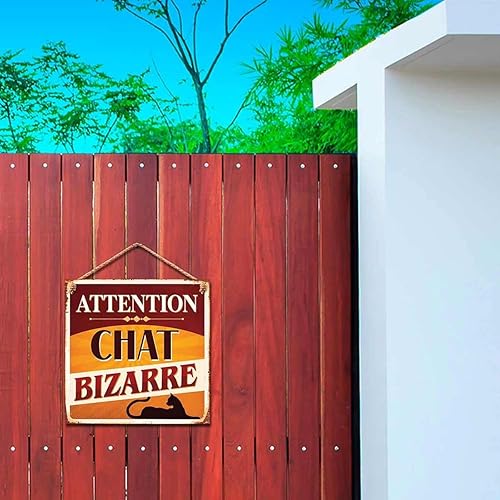 STC - Plaque Métal Attention Chat Bizarre - Nail Gallerys
