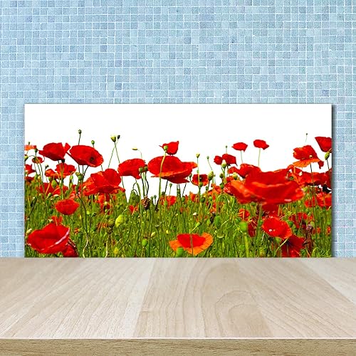 Tulup Crédence de cuisine 100x70cm Dosseret en verre Fond de hotte Verre de sécurité trempé Splashback Guard - Fleurs et plantes - Rouge - Coquelicots - Nail Gallerys