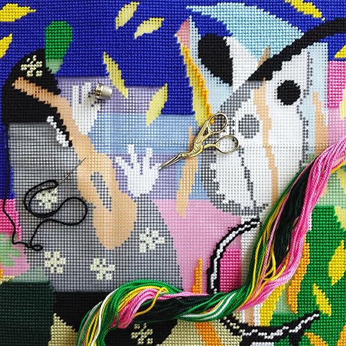 Brvsk The Sorrows of The King Kit de broderie avec toile de tapisserie imprimée (40 × 40 cm) - Kit de coussin pour décoration créative de la maison - Kit de couture pour adultes débutants - Nail Gallerys