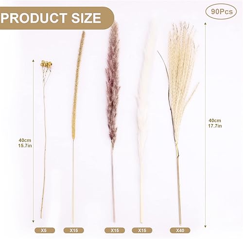 Lot de 90 Décoration de Fleurs séchées 5 Types Bouquet de fleurs séchées Naturel Bouquet Pampa Blanche Pampa Fleurs de Décoration Boho Decoration pour maison, mariage, vacances, fête - Nail Gallerys