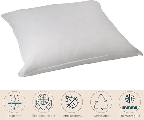 CASTEX- Oreiller Plat Moelleux Plume-Duvet 65x65 - Nail Gallerys