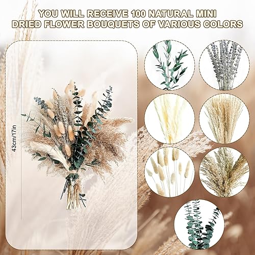 100 Pcs Fleurs Séchées Bouquet,Herbe de la Pampa Pampas Séchées Décoration Fleur Sechees Naturel Decoration de Bouquet de Fleurs Séchées Travaux Manuels pour Boho Arrangements, Mariage, Anniversaire - Nail Gallerys