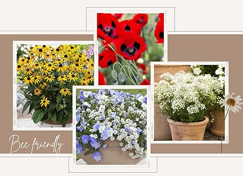 Lot de 20 cœurs à planter - En papier botanique vert - Fleurs sauvages - Respectueux de l'environnement - Pour mariage, fabrication de cartes, décorations artisanales, cadeaux funéraires, cartes de - Nail Gallerys