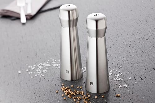 ZWILLING Moulin à Sel, Acier Inoxydable, Inox, Mat, 6 x 6 x 19 cm, série Spices - Nail Gallerys