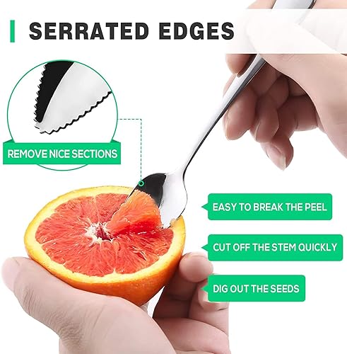 MHADBKH Cuillères à pamplemousse en acier inoxydable - Ustensiles dentelés pour fruits et desserts (2 pièces, Serrated, 16.8 cm) - Nail Gallerys