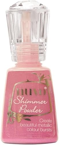 NUVO Lot de 3 poudres scintillantes (Green Parade, Solar Flare, Cherry Bomb) – Mica vibrant et pigment pour de superbes effets d'artisanat (60 ml pour 3 bocaux) - Nail Gallerys