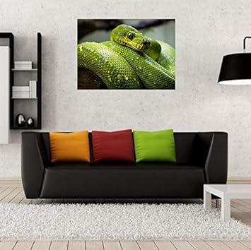 Fabulous Affiche Poster Python Vert Sublime Serpent Photo Nature Sauvage Reptile - Nail Gallerys