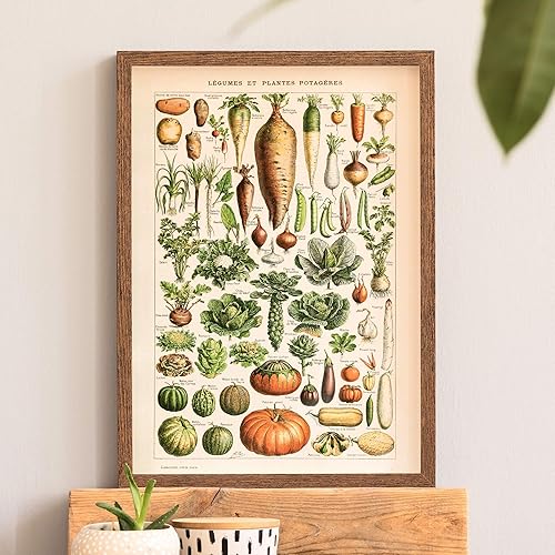 Follygraph LÉGUMES et PLANTES POTAGÈRES Affiche, Vintage Poster (A2) - Nail Gallerys