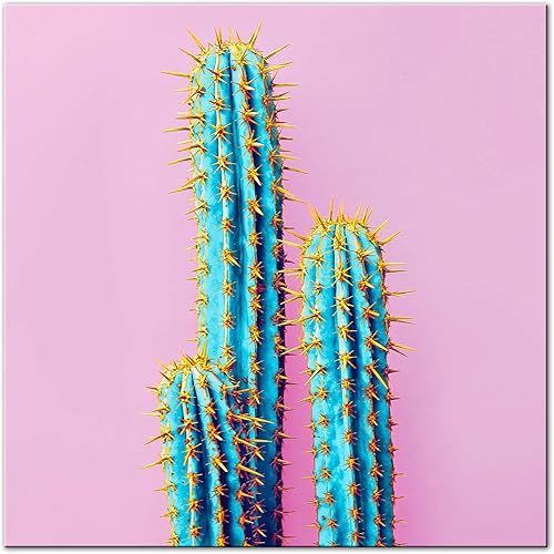 DECLINA Tableau Plexiglas Cactus Rose - Impression Verre Acrylique Style Vintage - Décoration Murale pour déco Maison, Cuisine, Salon, Chambre, Bureau - 50x50 cm - Nail Gallerys