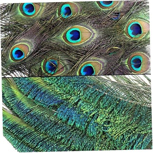 BYFRI 10pcs Plumes 10-12inch Et de 10pcs Peacocks pour Le Bricolage des Plumes Naturelles de l'artisanat Maison de Mariage Décoration - Nail Gallerys