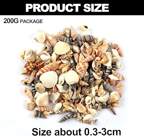 MsTeco Coquillage, 200g Coquillages Décoratifs Naturels Coquillage de Mer Mélange de Coquillages de Plage pour Bricolage Artisanat, Fabrication de Bougies, Réservoir de Poisson Remplissage(0.3-3cm) - Nail Gallerys