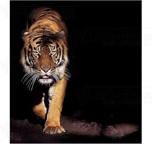 Crédence avec tigre sur fond noir - Panneau en verre trempé de cuisine - Dimensions : 90 x 70 cm - Nail Gallerys