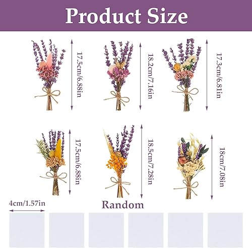 FENGQQKJ - Bouquet de fleurs séchées - Fleurs séchées naturelles - Violet - Pour décoration florale - Nail Gallerys