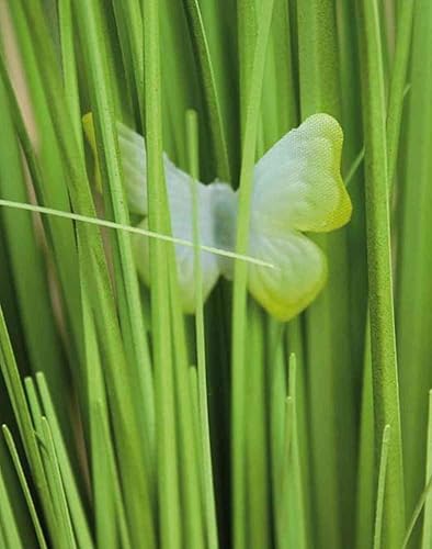 artplants.de Roseau Artificiel Finlay, Gypsophilia, Papillon, Blanc, 70cm - Roseau graminée Artificielle - Nail Gallerys