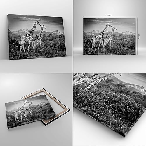 Deco Décoration Salon Girafes Noir Et Blanc Photographie Moderne Impression sur Toile 120x80cm Image Tableau Decoration Murale Chambre Horizontal Art Wall Tableaux Decoratifs Muraux AA120x80-4441 - Nail Gallerys