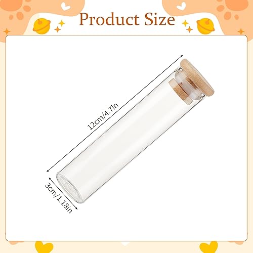 NICENEEDED Pot à Moustaches de Chat Vase en Verre Transparent pour Collection de Moustaches de Chat Coffret de Collecte de Poils de Moustaches de Chat pour Animaux de Compagnie Souvenir de Sympathie - Nail Gallerys