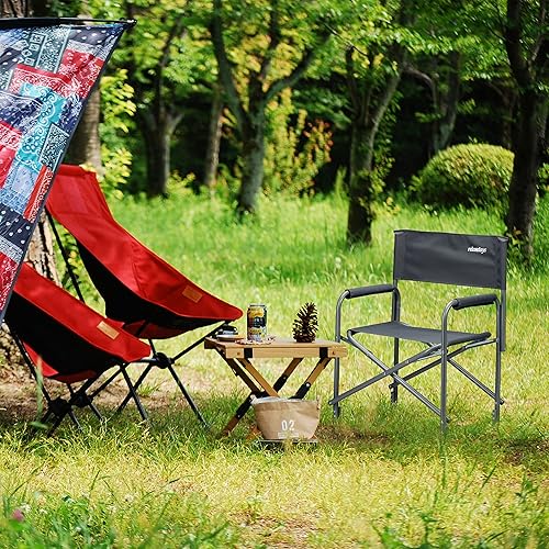Relaxdays Chaise de metteur en scène avec logo chaise de camping pliable en alu 120 kg charge maximale festival pêche 120 kg, LxHxP : 85,5 x 56 x 45 cm, gris - Nail Gallerys