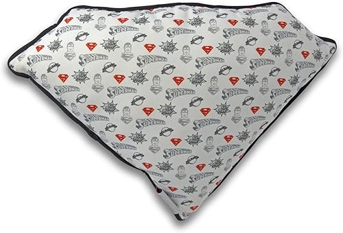 ABYSTYLE - DC Comics - Coussin Superman - Nail Gallerys