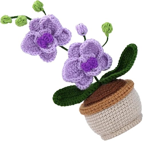 BAYORE Kit de Fleurs à Faire Soi-Même - Crochet DIY avec Fil, Aiguille, Marqueur d'Instructions pour Débutant - Bouquet de Fleurs - Nail Gallerys